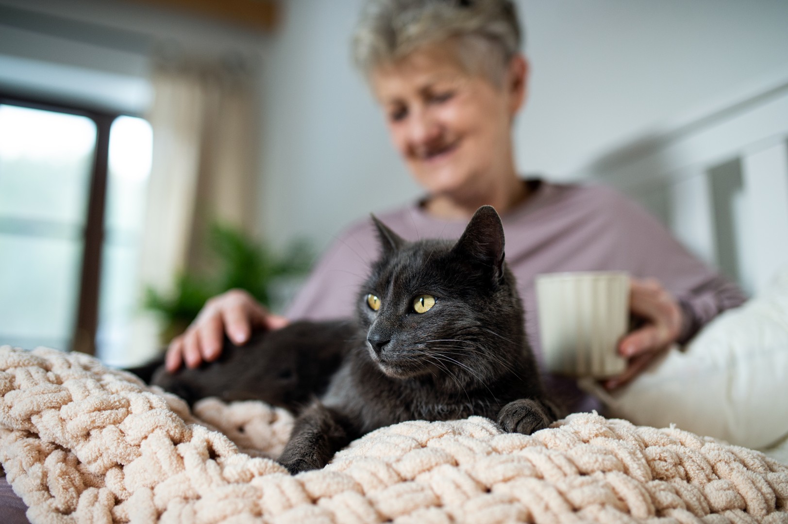 Resident relaxing at home with her cat